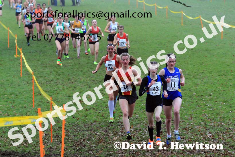 Junior Womens 2023 Northern Cross Country Champs., Witton Park, Blackburn. Photo: David T. Hewitson/Sports for All Pics